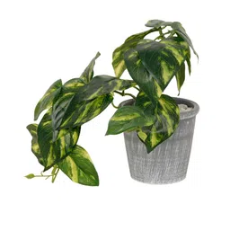 FOLIYAJ Green & Grey Artificial Money Plant With Pot image 5