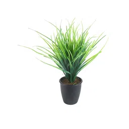FOLIYAJ Green & Black Foliyaj Artificial Plants With Pot & Tall Grass image 4