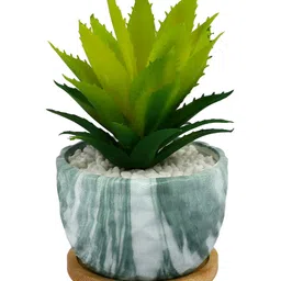 TAYHAA Green Aloe Vera Artificial Plant With Pot image 3