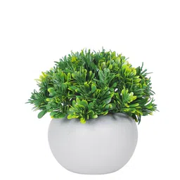 Dekorly Green & White 4 Pcs Bonsai Decorative Artificial Plant With Ceramic Pot image 4