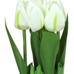 TIED RIBBONS Green & White Artificial Flowers and Plants image 2