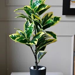 Blooming Floret Green Pisonia Alba Artificial Plant With Pot image 3