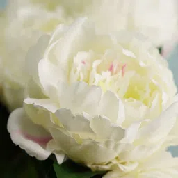 Pure Home and Living White & Green Peony Artificial Flower image 2