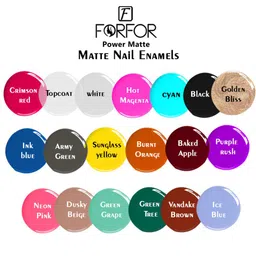 FORFOR Power Matte Set Of 12 HD Colors Long Lasting Non Toxic Professional Nail Polishes image 2