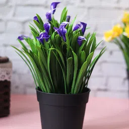 MARKET99 Purple & Black Artificial Flower Plant With Pot-image-91
