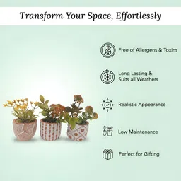 Ekhasa Green 3 Pieces Artificial Plant With Pot image 3