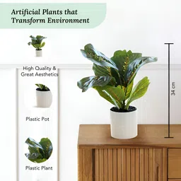 Ekhasa Green 1 Pieces Ficus Artificial Plant With Pot image 3
