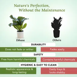 Ekhasa Green 1 Pieces Ficus Artificial Plant With Pot image 4