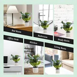 Ekhasa Green 1 Pieces Ficus Artificial Plant With Pot image 5