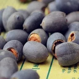 dhyanexa 100% Germination Lotus Mix Flower Seeds (Pack Of 25 Seeds) - All Mix Color Growing Lotus Kamal Gatta Seed,Home Gardening, Live Water plant for Pond, Rosary of Kamalgatta, Makhana Seed image 3