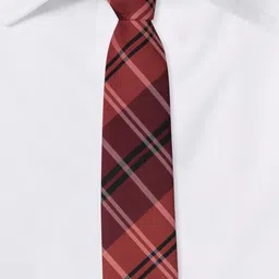 The Tie Hub Men Red & Black Checked Skinny Tie image 2