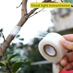 ar tapes & plastics AR 3 inch x 100meter Grafting Stretchable Tape for Nursery and Garden, Biodegradable Plant Repair Tapes Self-Grafting Clear Film for Fruit, Floral, Tree and Plants Grafting Film Tool (1) image 5