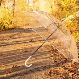 sakar Clear Transparent Umbrella with Wind-Resistant Steel Frame for All Weather Conditions, Umbrella for Kids and Adults for School, College, Office and Events or Function. image 5