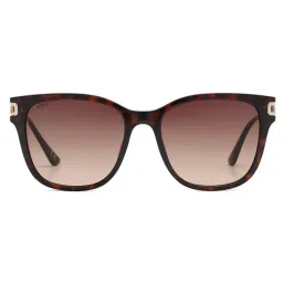 scott accessories Scott Sunglasses Womens Smoke Brown Lens Square Sunglasses - 3008 Eloise C2 S (54)-picture-20