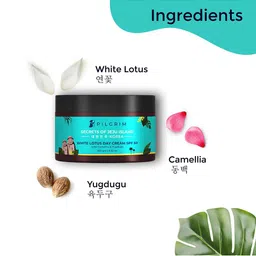 Pilgrim Clean & Clear Skin Face Combo for Deep Pore Cleansing image 3