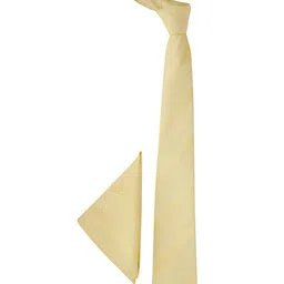 Tossido Men Necktie and Pocket Square Gift Set image 4