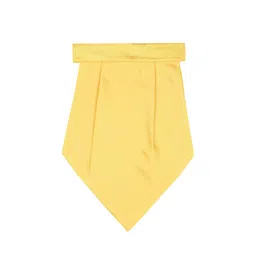 Tossido Men Yellow Solid Accessory Gift Set image 3