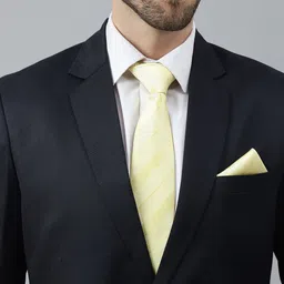 Tossido Men Necktie and Pocket Square Gift Set image 3