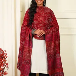 Pashmoda Paisley Woven Design Woollen Shawl-picture-21
