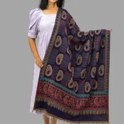 BAISA Women Paisley Woven Design Woollen Shawl-picture-20