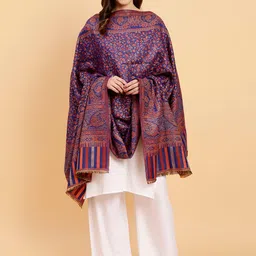 Moda Chales Ethnic Motifs Woven Design Shawl-image-58