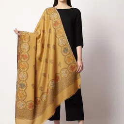 SWI Stylish Women Paisley Kaani Woven Design Shawl-picture-29