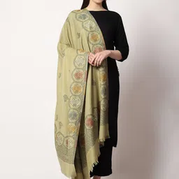 SWI Stylish Women Ethnic Motif Woven Design Shawl-picture-12