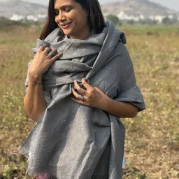 Chidiyaa Sardi Ki Dhoop Morning Mist Pure Wool Zari Shawl-picture-34