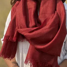 Chidiyaa Sardi Ki Dhoop Mulled Magic Pure Wool Zari Shawl image 4