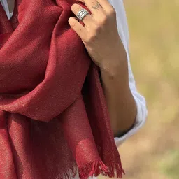 Chidiyaa Sardi Ki Dhoop Mulled Magic Pure Wool Zari Shawl image 3