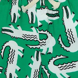 The Lion and The Fish Boys Graphic Printed Relaxed Fit Mid-Rise Regular Casual Shorts image 3