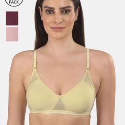 mod & shy Pack Of 3 Assorted Bra-picture-13