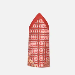 Allen Solly Men Printed Pocket Square image 1