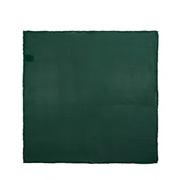 The Tie Hub Men Green Solid Pocket Square image 2