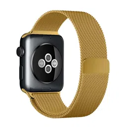 DailyObjects Stainless Steel Smartwatch Strap-picture-10