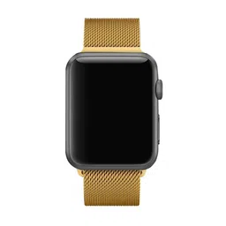 DailyObjects Stainless Steel Smartwatch Strap image 2