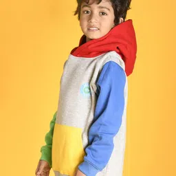 Anthrilo Boys Grey Colourblocked Sweatshirt image 3