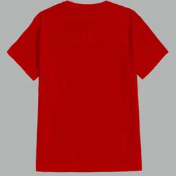 BAESD Boys 2 Printed Applique T-shirt image 5