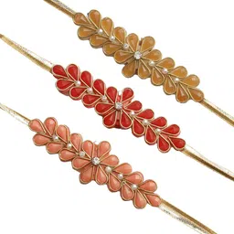 Aapno Rajasthan 3 Pieces Handcrafted Raisin Leaf Thread Rakhi image 3