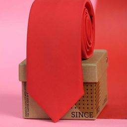 Tossido Men Red Solid Skinny Tie-picture-14