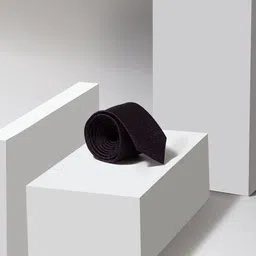 Louis Philippe Men Woven Design Skinny Tie-image-45