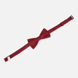 Allen Solly Men Bow Tie image 4