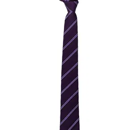 The Tie Hub Men Striped Silk Broad Tie image 4