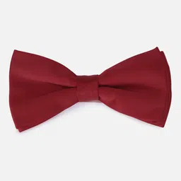 Allen Solly Men Bow Tie image 3