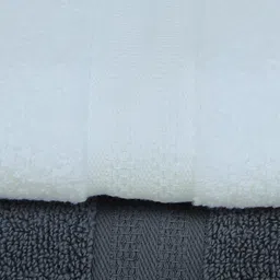 BIANCA Set Of 2 White & Grey Solid 380 GSM Pure Cotton Terry Bath Towels image 5