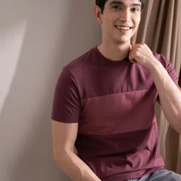 DAMENSCH Maroon Fluid Elemental Colourblocked Regular Fit Tshirt-picture-48