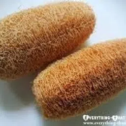 GNR Organic Natural Body Scrub Loofah for Bathing - 4 Pcs Pack image 3