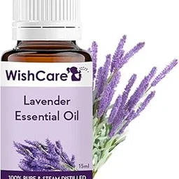 WishCare Lavender Essential Oil for Healthy Hair, Skin, Sleep - 100% Pure, Natural and Undiluted - 15ML-picture-29