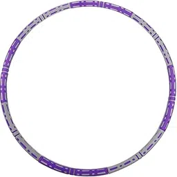 LOOM TREE® Weighted Hoop Stainless Steel Inner Tube Colorful Workout Hoop for Women Men Purple Gray Style A | Fitness Equipment & Gear | Abdominal Exercisers | 1 Exercise Hoop-picture-17