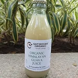 Satjeevan Organic Himalayan Guava Juice, 200ml, Glass Bottle, Preservative-Free, Organic Raw Khandsari Sugar-image-10